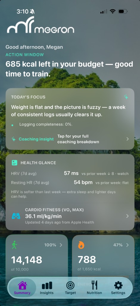 Megron summary screen — energy budget and today's focus